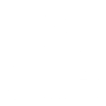 Basic Cleaning Services