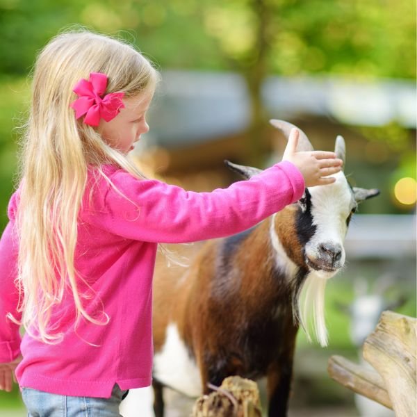 House cleaning and maid services in Williamsburg, VA
